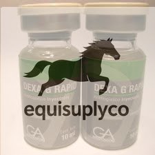 DEXA G RAPID – 10 ML - Equine Care Pharmacy