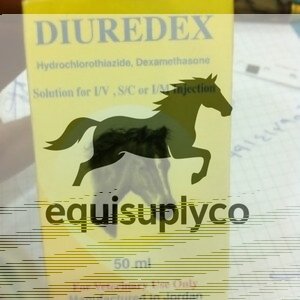 Diuredex injection - Equine Care Pharmacy