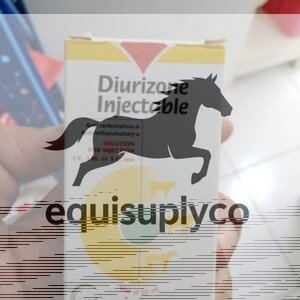 Diurizone inj 50ml - Equine Care Pharmacy