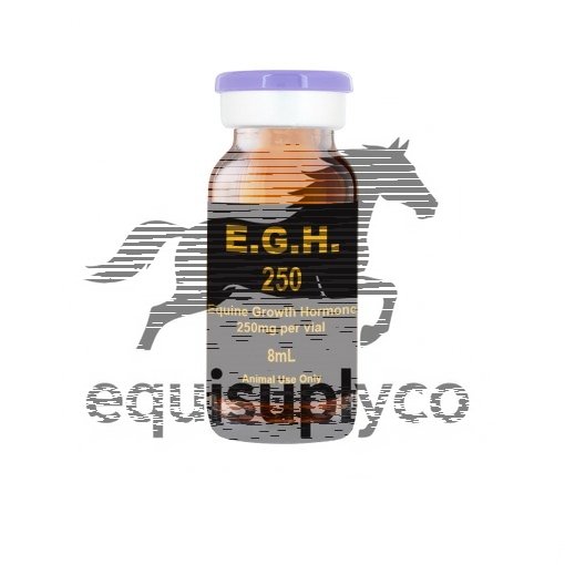 EGH 10 ml vial Equine Growth Hormone - Equine Care Pharmacy