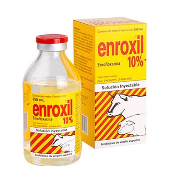 ENROXIL 10% 250ML - Equine Care Pharmacy