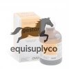 GESTAR X 50ML - Equine Care Pharmacy