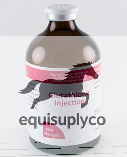 Glutathione, 200mg/ml, 100ml Vial - Equine Care Pharmacy