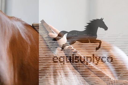 Horse grooming supplies including brushes clippers and shampoo