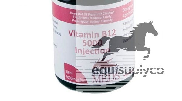 Vitamin B12 5000 - Equine Care Pharmacy
